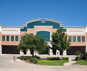 Picture of Dallas office.